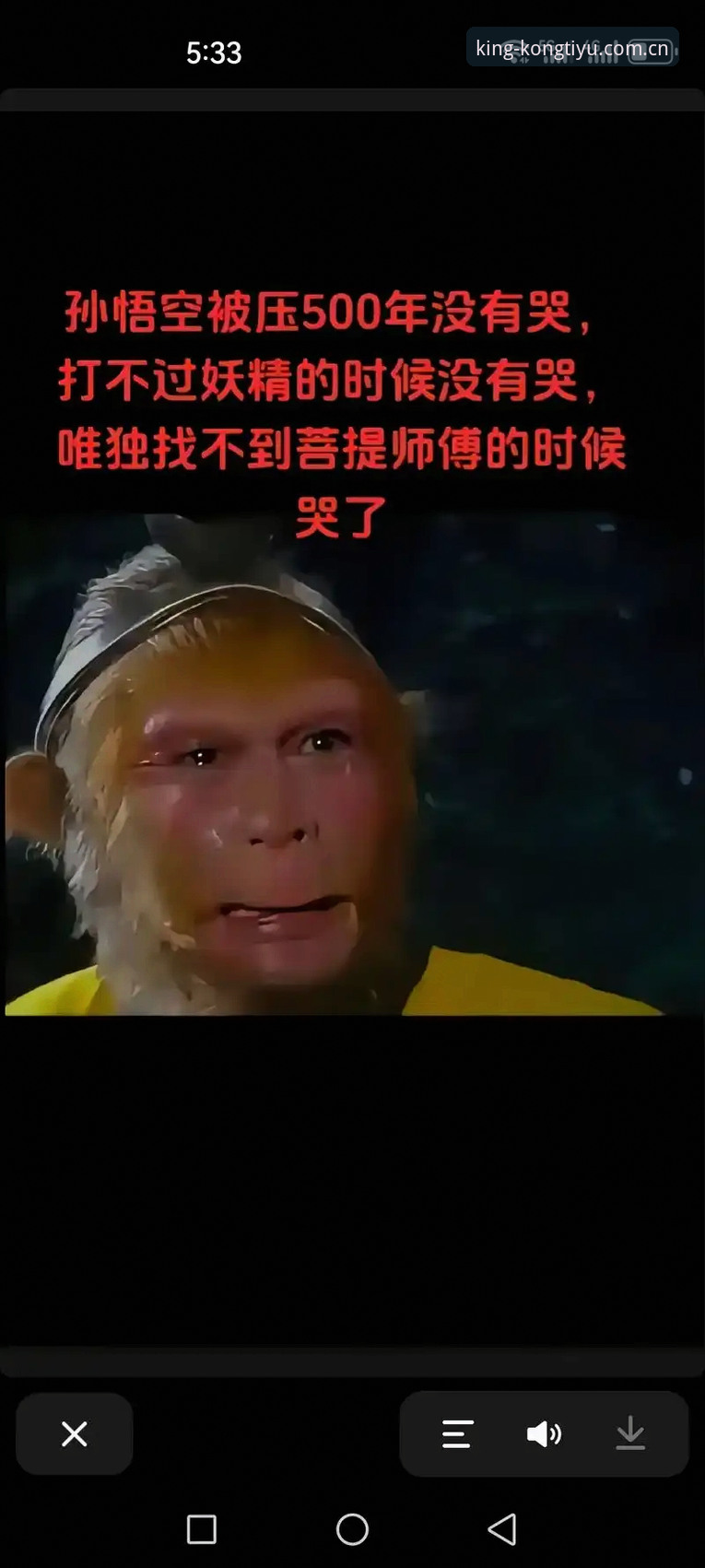 揭秘悟空体育平台：你不可不知的六大核心功能亮点